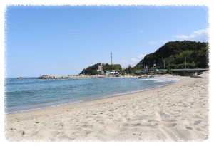 서핑의 메카로 떠오른 인구해변