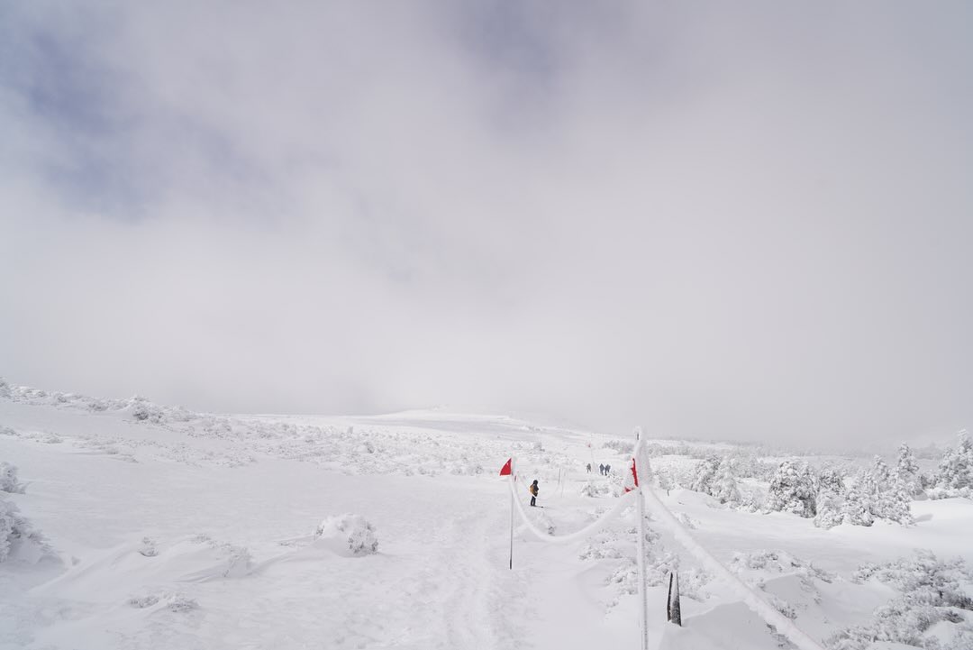 한라산 탐방예약 방법 등산코스 윗세오름코스