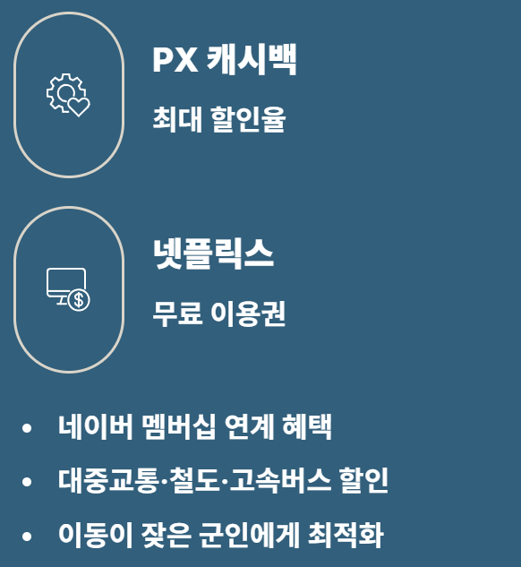 나라사랑카드 혜택, 발급 3기