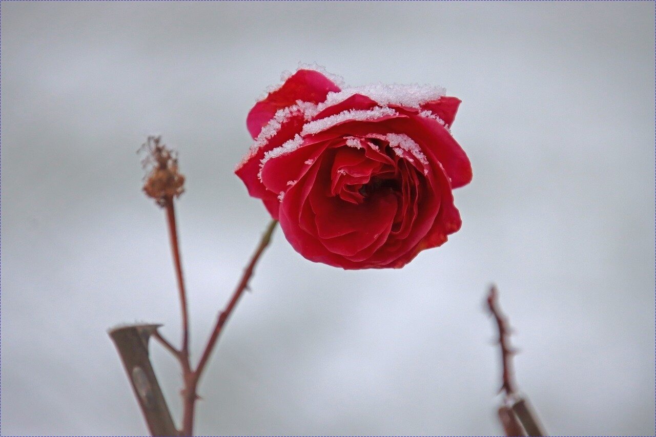 키즈카페 창업비용