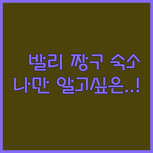 발리 한 달 살기 숙소 추천 짱구 인..