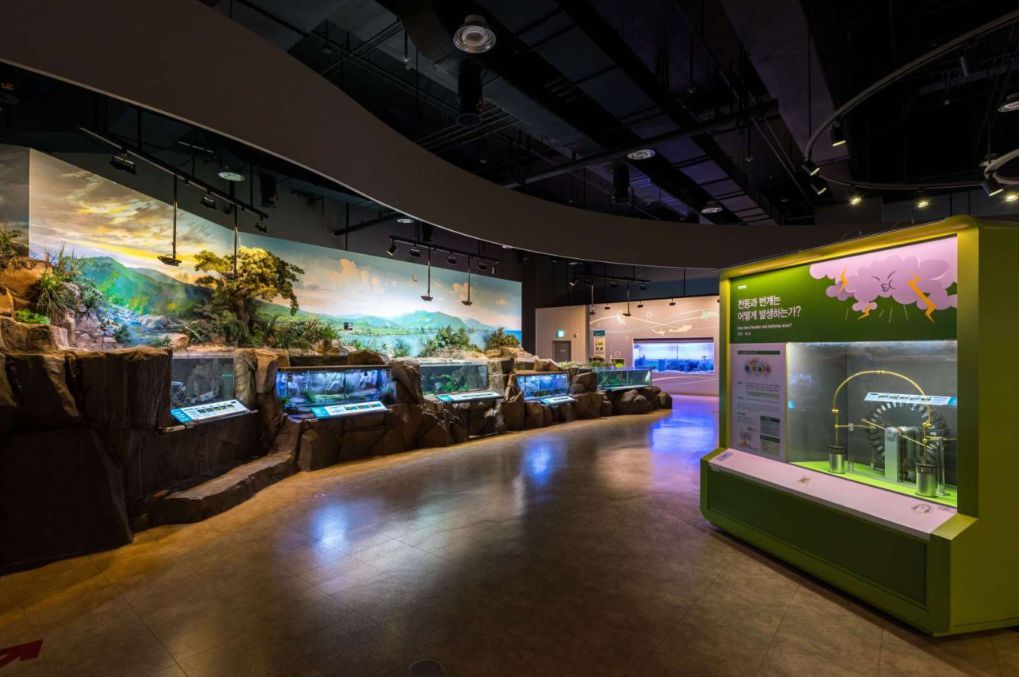 국립대구과학관