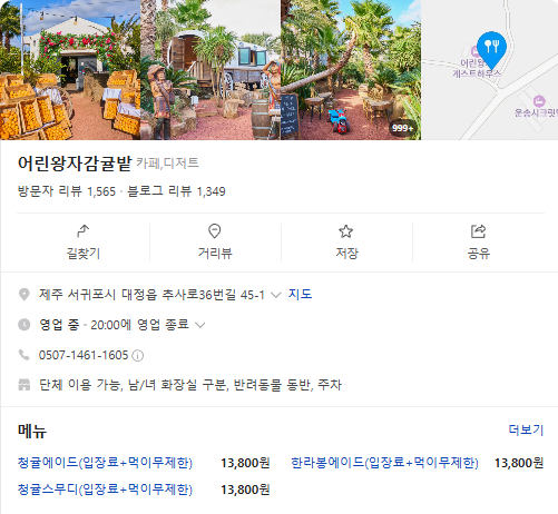 오늘n 동물카페 제주 어린왕자감귤밭