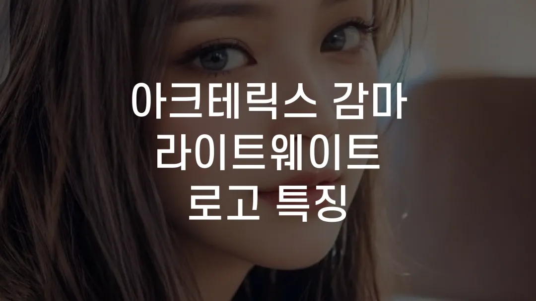 아크테릭스 감마 라이트웨이트 로고 특징