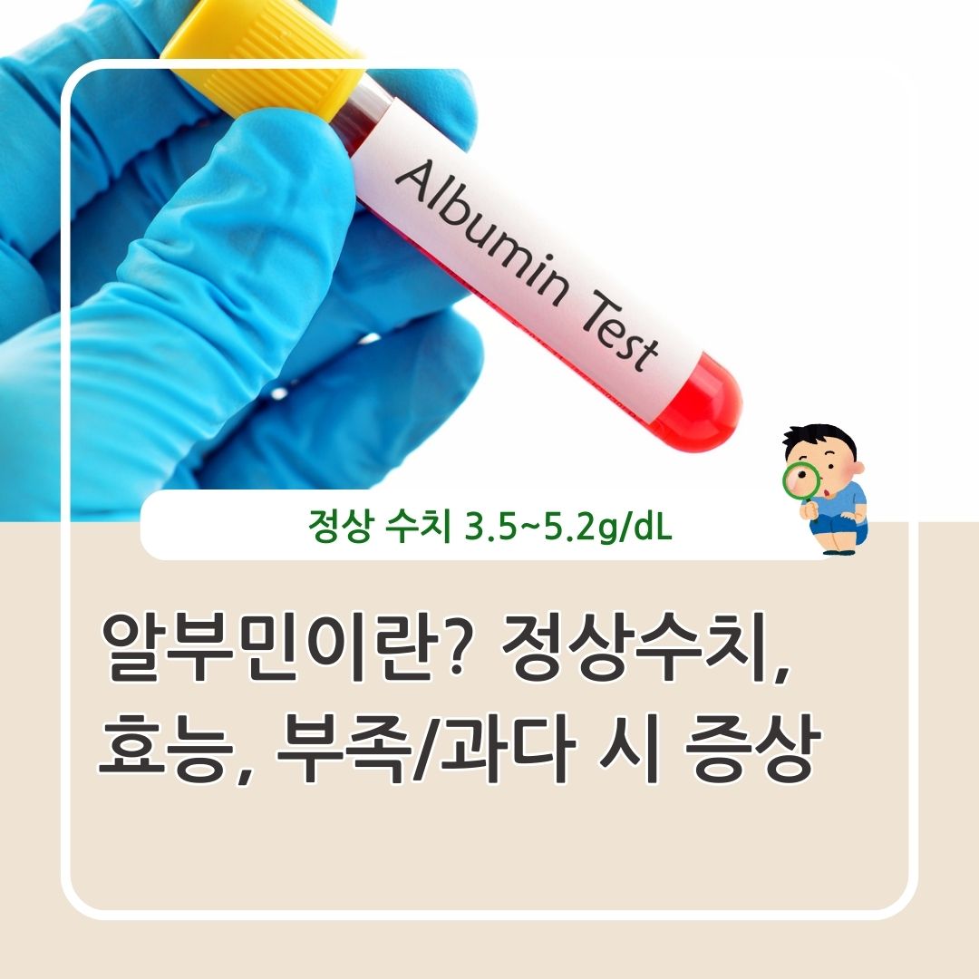 알부민 정의 정상 수치와 효능 수치가 낮고 높을 때 증상 정리