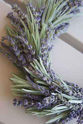 라벤더 아로마 힐링