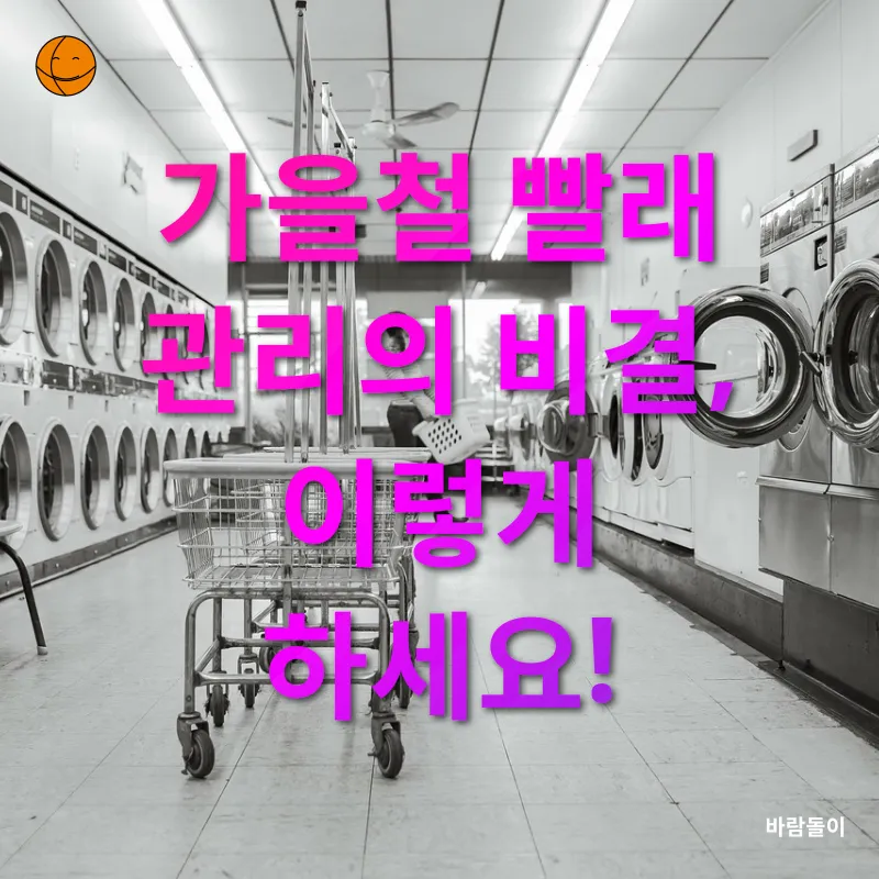 가을 빨래 관리_3