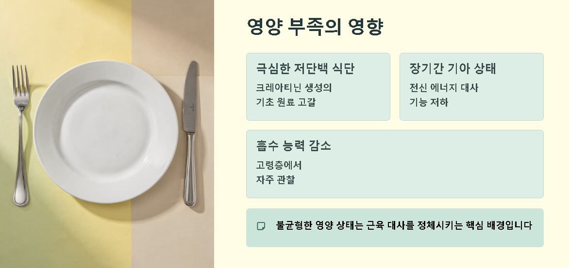 크레아티닌 수치가 낮으면 건강 의미