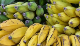 바나나 보관방법