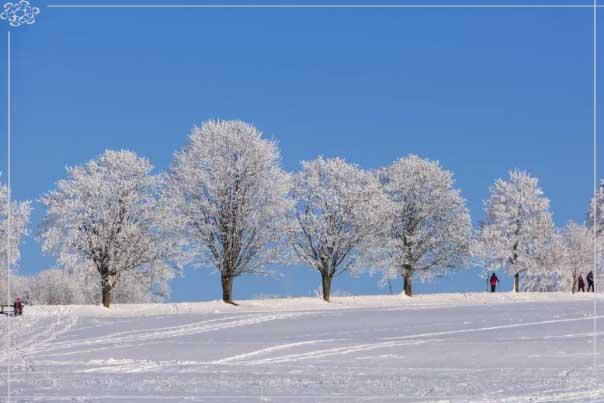 재산세 납부기간 고지서