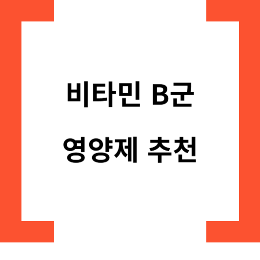 비타민B군영양제추천