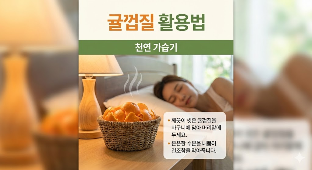 감기예방 음식