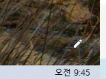 크롬 브라우저 테마 색상 변경하는 방법