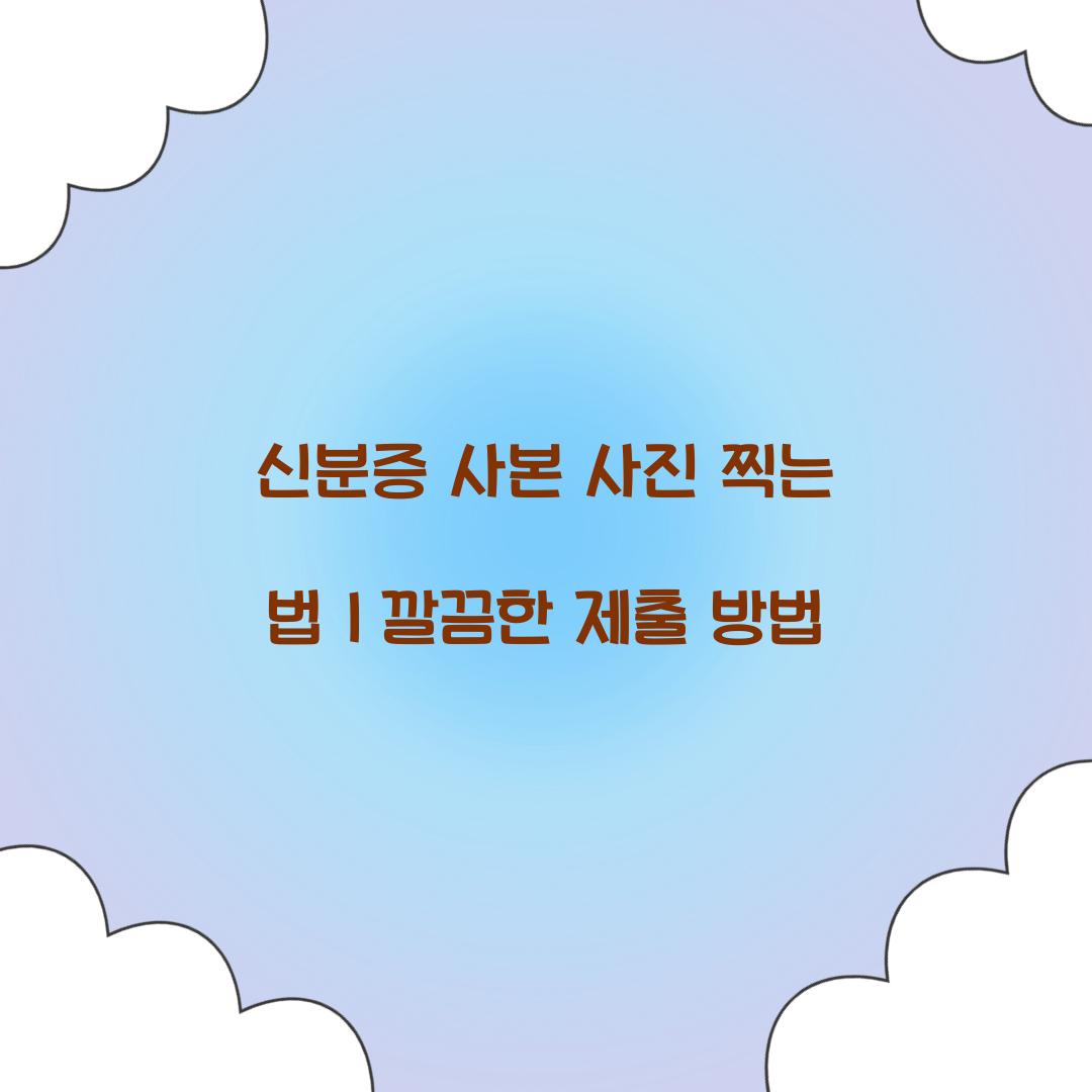 신분증 사본 사진