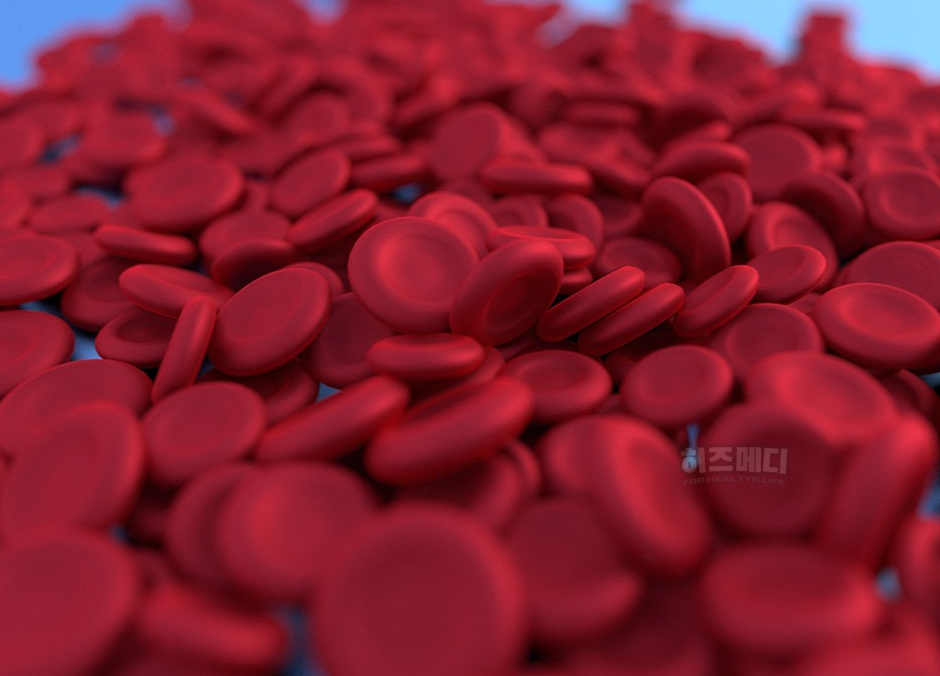 철결핍성 빈혈 원인 증상