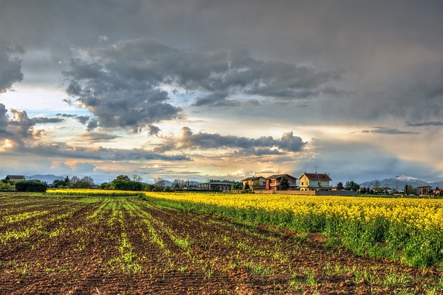 시골 한달살이 체험해보기