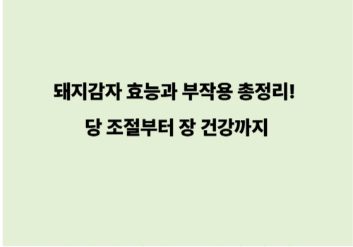 돼지감자 효능과 부작용 총정리! 당 조절부터 장 건강까지