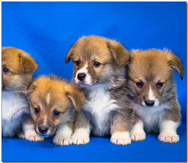 ์ฌ๋ฌ๋ง๋ฆฌ์ ์๊ธฐ ์ฐ์์ฝ๊ธฐ