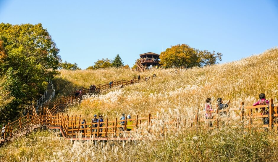 11월 여행지 추천 2024년 11월 한국 여행 11월 한국 여행지 TOP 10 가을 여행지 추천 한국 단풍 명소 억새 명소 추천 11월 가을 여행 추천 서울 억새밭 여행 제주도 가을 여행지 포천 명성산 억새 담양 메타세콰이아길 수원 방화수류정 피크닉 고성 미시령 은하수 11월 여행 코스 전라북도 부안 노을 세종시 국립수목원 당일치기 여행지 한국 가을 여행 코스 서울 가을 야경 명소 11월 당일치기 추천