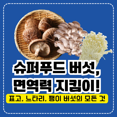 버섯 면연력