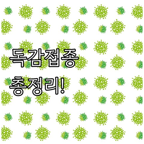 2025 보령시 독감 예방접종 총정리..