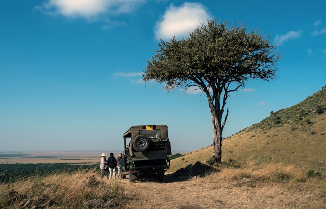 Safari