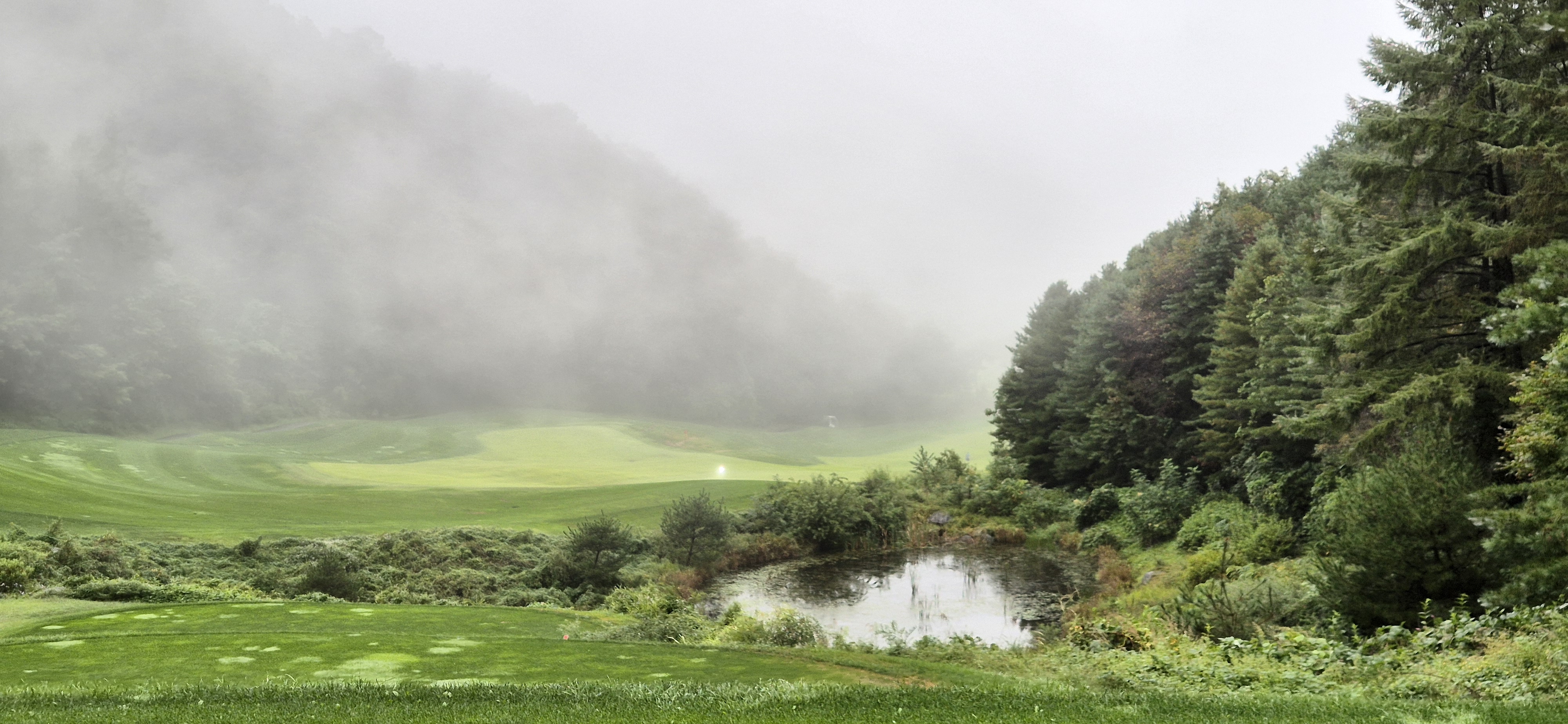 더플레이어스cc