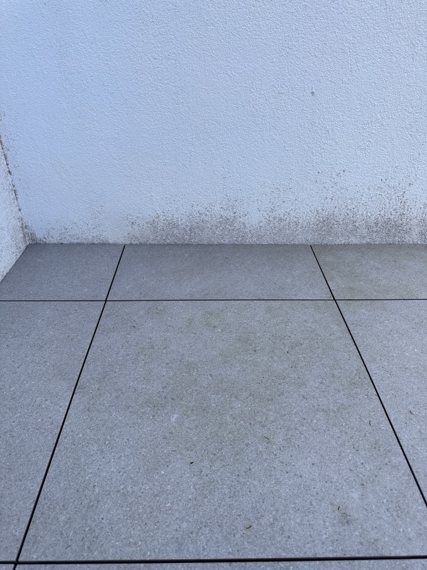 테스트 전 곰팡이가 벽에 있는 상황입니다.