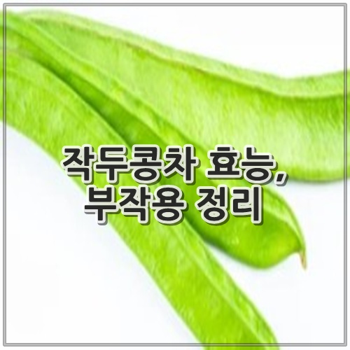 작두콩차 효능, 부작용 정리