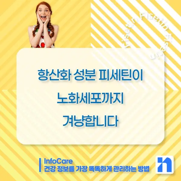 피세틴 부작용 복용법