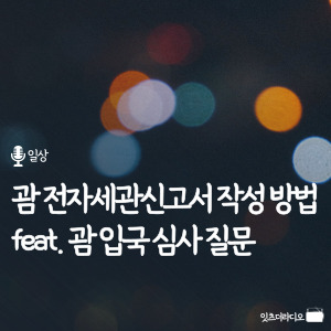 괌 전자세관신고서 작성방법 feat 괌 입국심사 질문