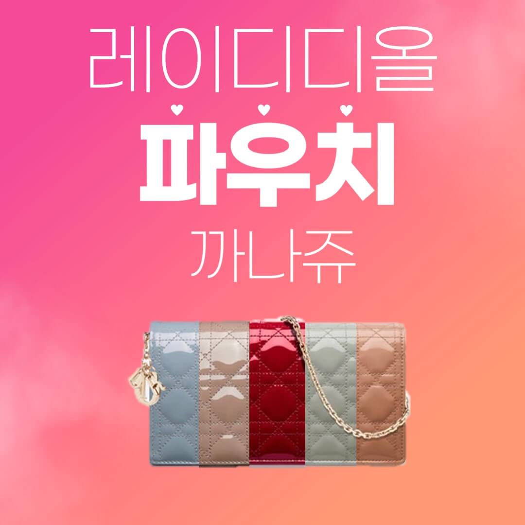레이디 디올 체인 파우치 이미지 (2)