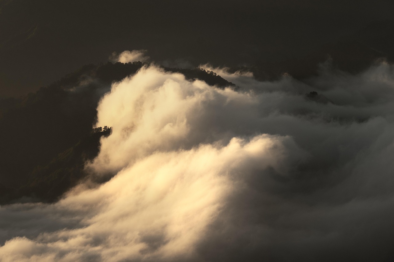 법인세율 계산방법