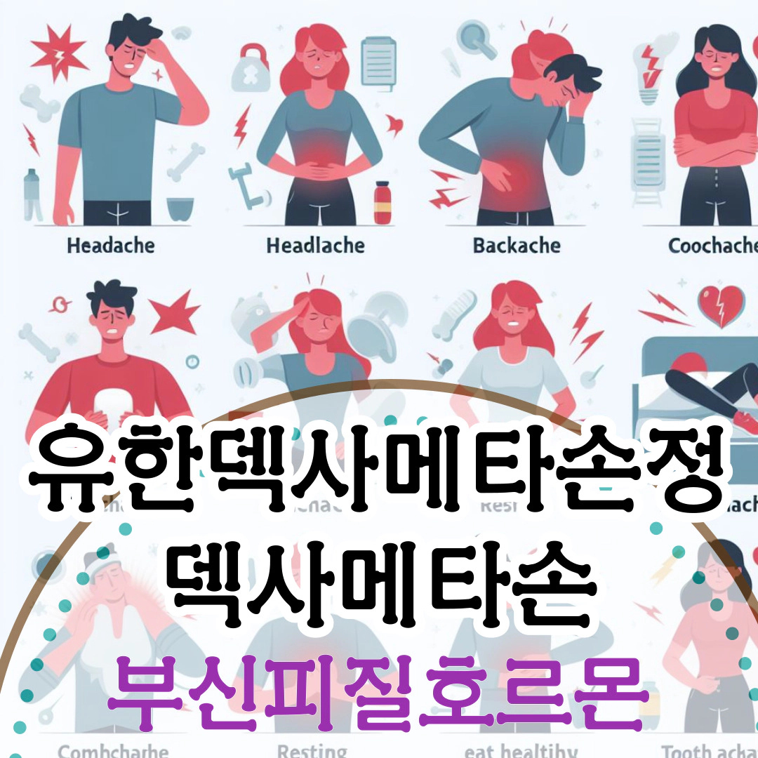 유한덱사메타손정 [덱사메타손]