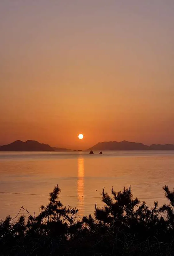나로리뷰