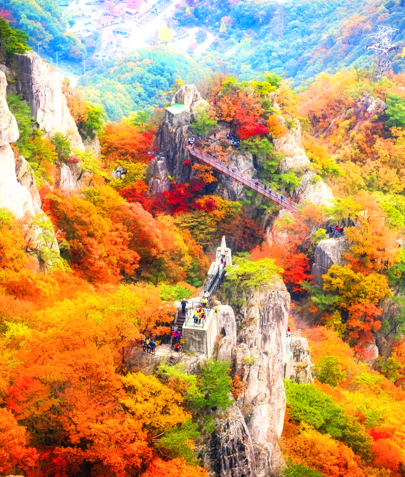 대둔산