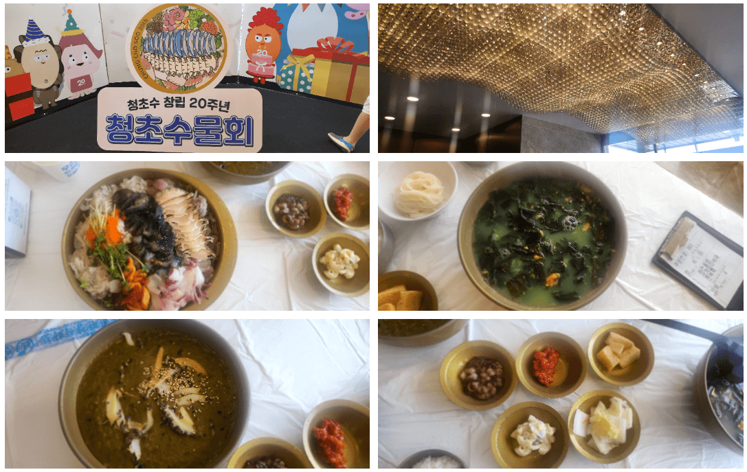 청초수물회 사진 모음
