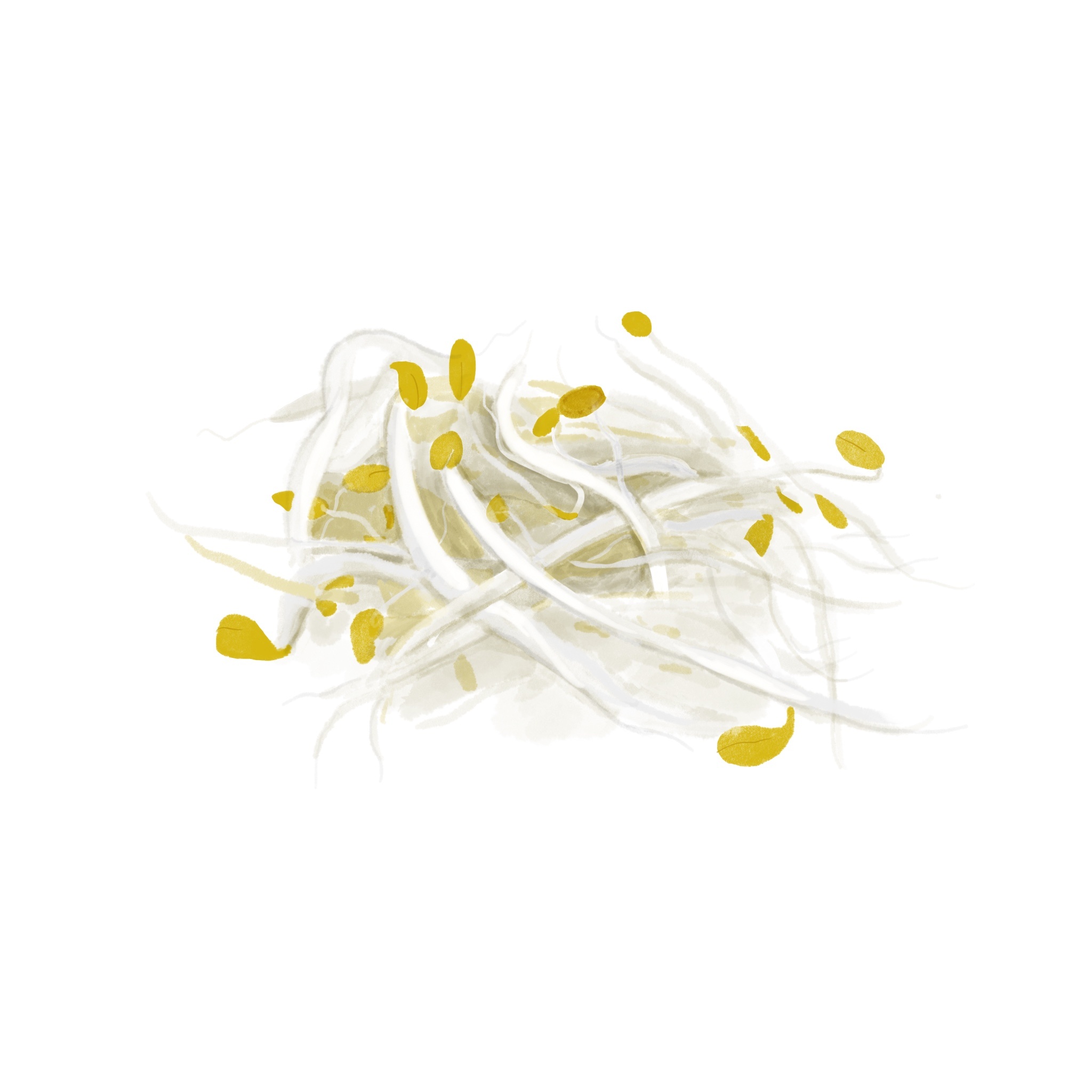 감기에 좋은 음식