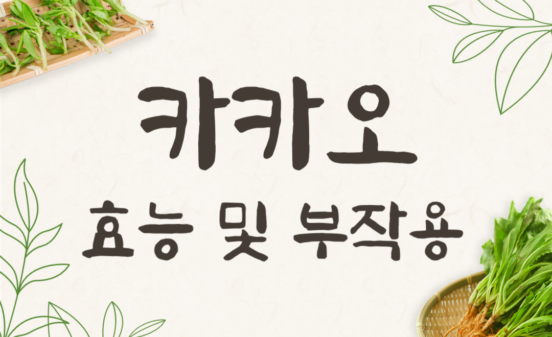 카카오 효능과 부작용, 카카오닙스와 초콜릿 차이점 총정리