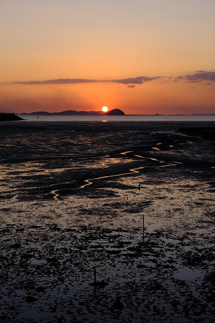 img src="prime_trekking_saeside_way.jpg"alt="중장년층을 위한 서해랑길 코스 추천"