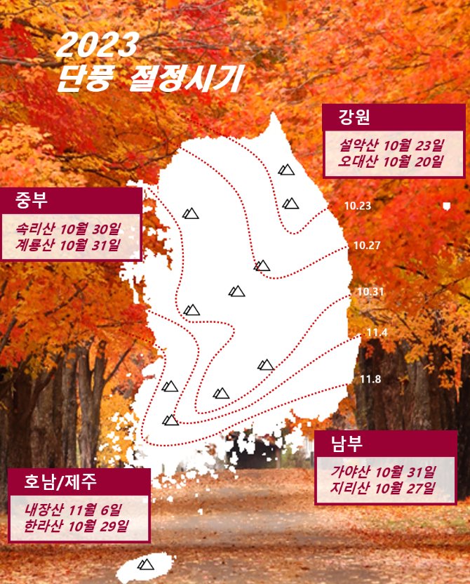 단풍절정시기