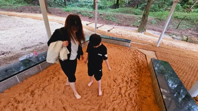 울산대공원 메타세콰이어길 맨발걷기