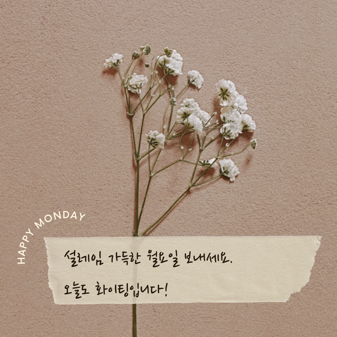 월요일 아침 인사말 이미지 문구 모음 글귀