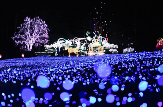 아침고요수목원 오색별빛정원전