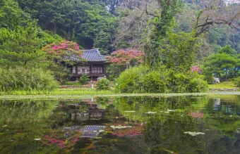 안동 가볼만한곳 베스트10 하회마을 병산서원 간고등어 맛집_6