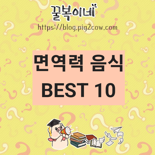 생활정보