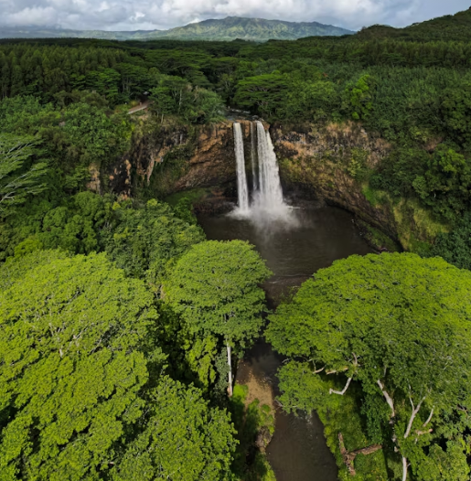 하와이 여행 추천 일정 – 4박5일 렌트카 여행 코스