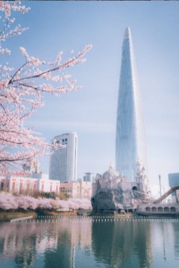 벚꽃