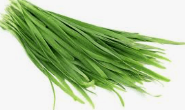 부추의 영양 성분 분석