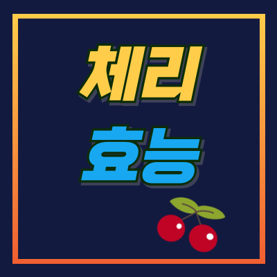 체리 효능